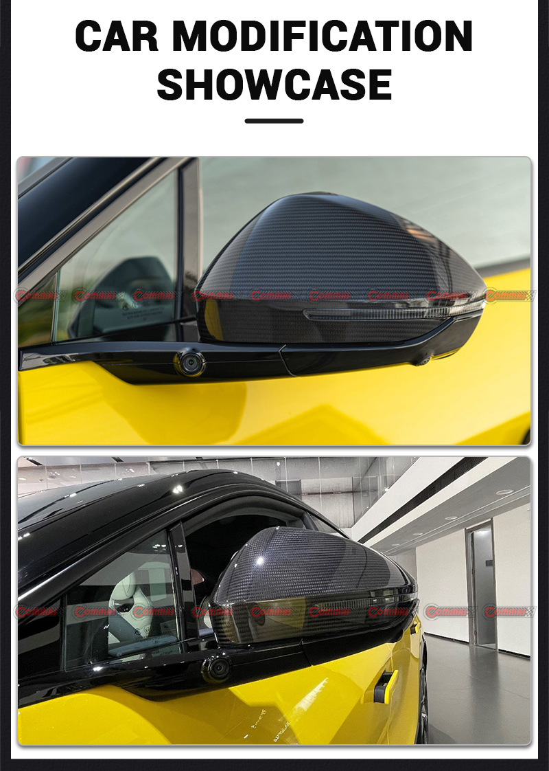 ฝาครอบกระจกมองข้าง oem โลตัสเอเลเตร